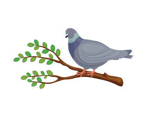 A pigeon on a branch. A cartoon-style pigeon sits on a tree branch. A tree branch and a bird. The vector illustration is isolated on a white background.