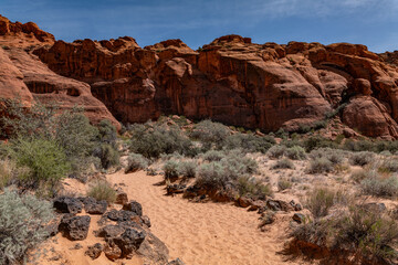 Santa Clara lava flow / basalt (Qbs) with Navajo Sandstone (Lower Jurassic), Jenny's Canyon Trail
,...