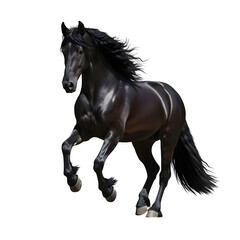 Fototapeta premium Majestic black stallion horse in motion against a dramatic transparent background showcasing its powerful muscles and flowing mane ideal for equestrian art posters and equine publications.
