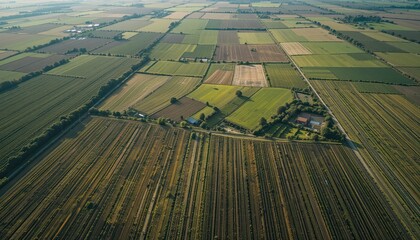 High-resolution drone aerial mapping capturing vast farmland with detailed crop health analytics, soil composition visualization, precision agriculture data for maximizing yield and farm efficiency