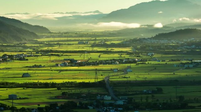Aerial Panorama Drone Picture of Beautiful rice fields at sunrise, Chihshang Township, Taiwan