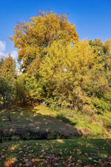 Fototapeta premium Autumn foliage in a peaceful landscape on a sunny October day.