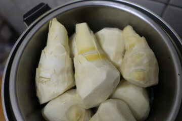 Green bamboo shoots.