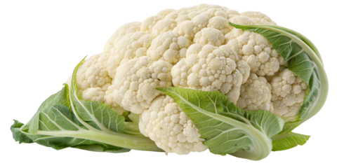 Cauliflower head fresh vegetable healthy eating raw food ingredient white background isolated closeup shot
