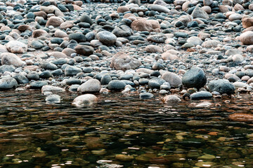 Obraz premium river in the forest