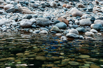 river in the forest