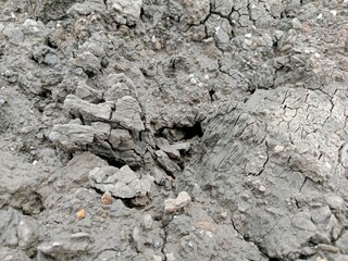 The drying mud soil becomes beautiful and attractive 