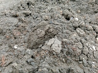 The drying mud soil becomes beautiful and attractive 