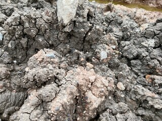 The drying mud soil becomes beautiful and attractive 