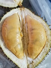 Creamy Yellow Durian Flesh Inside Opened Fruit