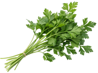 Fresh parsley bunch culinary herb aromatic ingredient cooking garnish food photography close up healthy diet