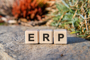 ERP - text on cubes standing on a stone on a natural background