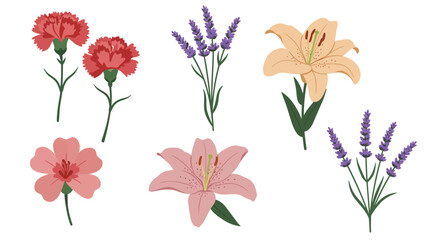 Diverse Hand-Drawn Botanical Flower Set with Dandelions, Sunflowers,  Daisies, Lilies, Daffodils, and Irises etc. 
