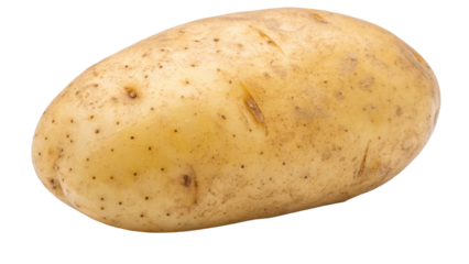 Isolated yukon gold potato close up for potato recipes and healthy eating and cooking raw potato images