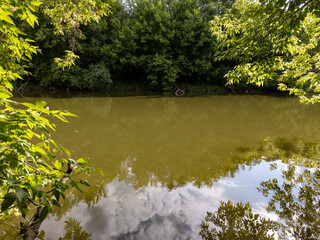 A body of water surrounded by trees and clouds