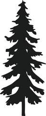 Silhouette of a Tall Forest Pine Tree – Isolated Evergreen Vector Art