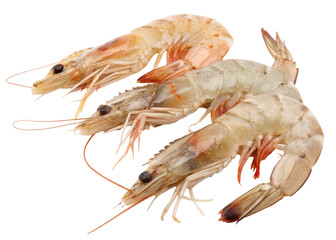 Fresh raw shrimp prawns for seafood recipe ingredient delicious gourmet food on black background isolated close up