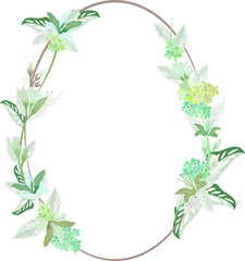 Naklejka premium Decorative floral frame with tiny flower isolated on white background