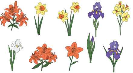 Diverse Hand-Drawn Botanical Flower Set with Dandelions, Sunflowers,  Daisies, Lilies, Daffodils, and Irises etc. 