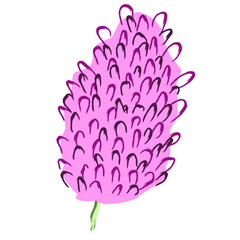 Pink Cone Shaped Tropical Flower Illustration
