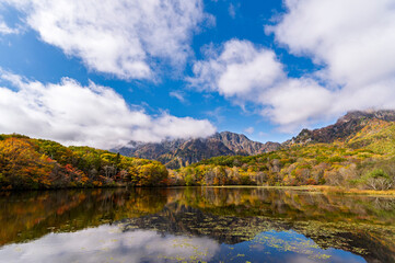 Fototapeta premium Autumn leaves at Kagami-ike pond reflect on the surface of the water of the Togakushi Mountain in Nagano, Japan.