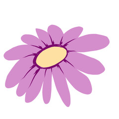 Purple Daisy with Yellow Center Illustration