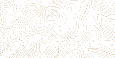 Fototapeta premium Topographic map background geographic line map with elevation assignments. Modern design with White background with topographic wavy pattern design.paper texture Imitation of a geographical map shades