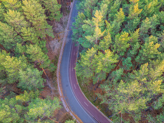 Fototapeta premium Aerial view of road in beautiful autumn forest at sunset. Beautiful landscape with empty rural road, trees with red and orange leaves.