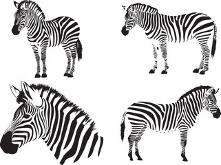 African Safari Scene – Zebra and Acacia Tree Silhouettes
Grazing Zebras Under Savannah Trees – Vector Wildlife Set
Black and White African Landscape with Zebras