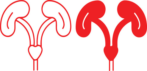 uterus, female reproductive system, medical diagram, anatomical illustration, biology, red outline, minimalist