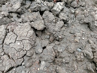 Dried excavated silt soil becomes beautiful