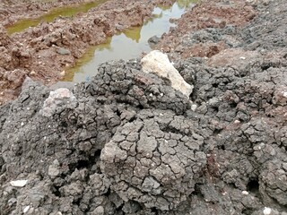 Dried excavated silt soil becomes beautiful