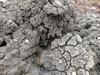 Dried excavated silt soil becomes beautiful