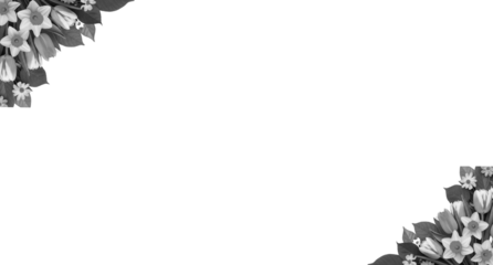 black and white leaves and flowers in the corner