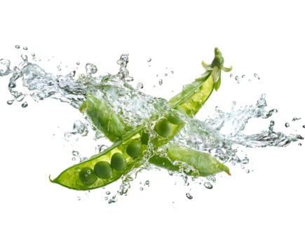 Natural Pea Pod Splash with Artistic Style