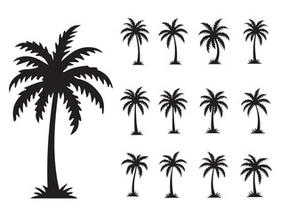 Collection of palm tree silhouettes in various shapes isolated on white background