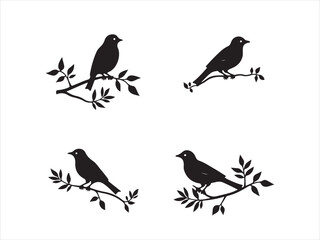 Four simple black bird silhouettes perched on tree branches for design purposes