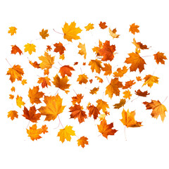 Autumn Leaves Falling – PNG Clipart on Transparent Background