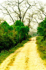 HARIDWAR ANIMALS NATURE