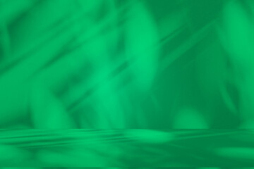 Wall interior background, studio and backdrops show products. with leaf shadow from window color green and white. background for text insertion and presentation of product	