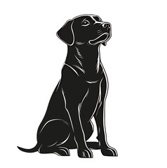 A sleek black Labrador Retriever sitting proudly, exuding loyalty and playfulness.