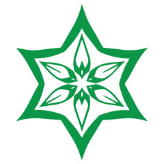Obraz premium Abstract green star flower mandala design element