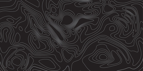 Abstract Black and Gray Layered Contour Line Art with Bold Optical Fluid Pattern.