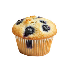 Freshly Baked Blueberry Muffin with Golden Crust
