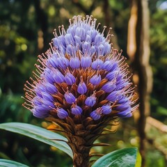 Vibrant tropical bloom with wild purple petals standing tall in lush surroundings and bursting with untamed natural beauty