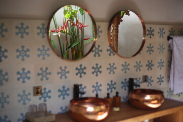 Two Round Bathroom Mirrors Reflecting Tropical Plants