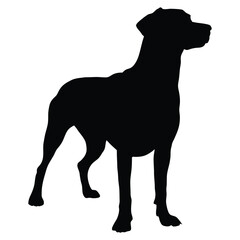 Dog Side View Vector Silhouette in Black