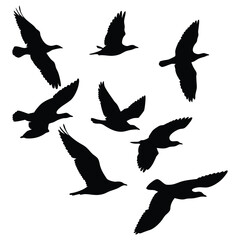 Detailed Black White Silhouette Illustration Design Element