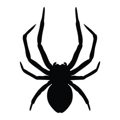 Scary Spider Silhouette Outline Graphic Design Image