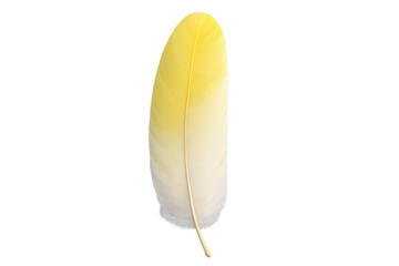Delicate light yellow feather floating against transparent backdrop, highlighting natural elegance and subtle design potential